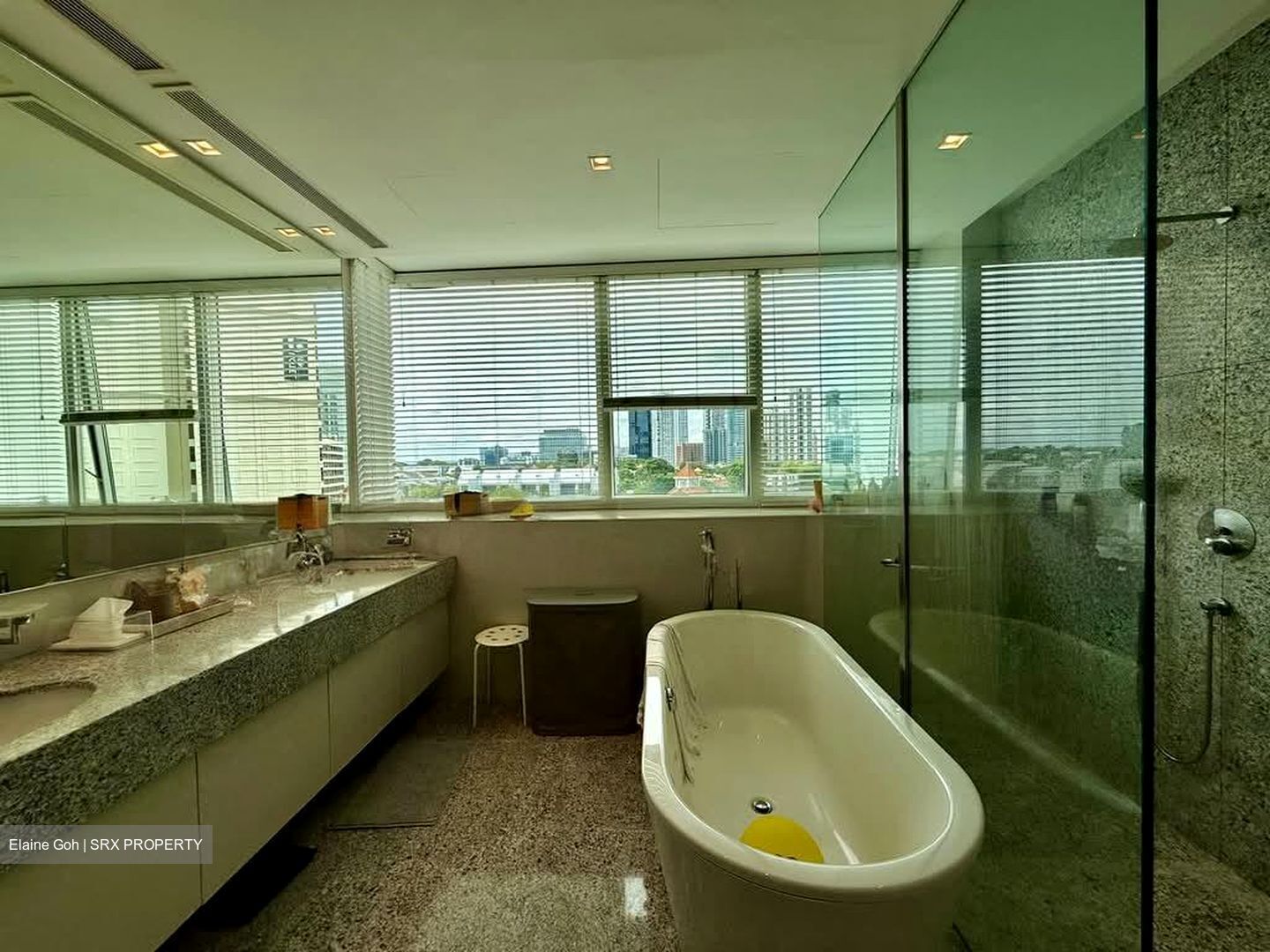 Grange Residences (D10), Condominium #605814151